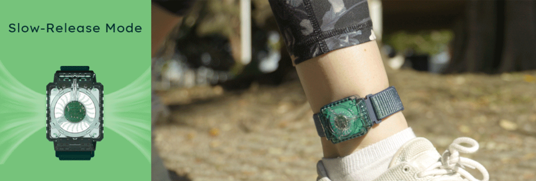 手表詳細(xì)圖1.jpg 手表詳細(xì)圖1.jpg