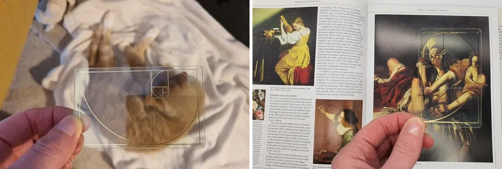 詳細(xì)圖-1.jpg 詳細(xì)圖-1.jpg